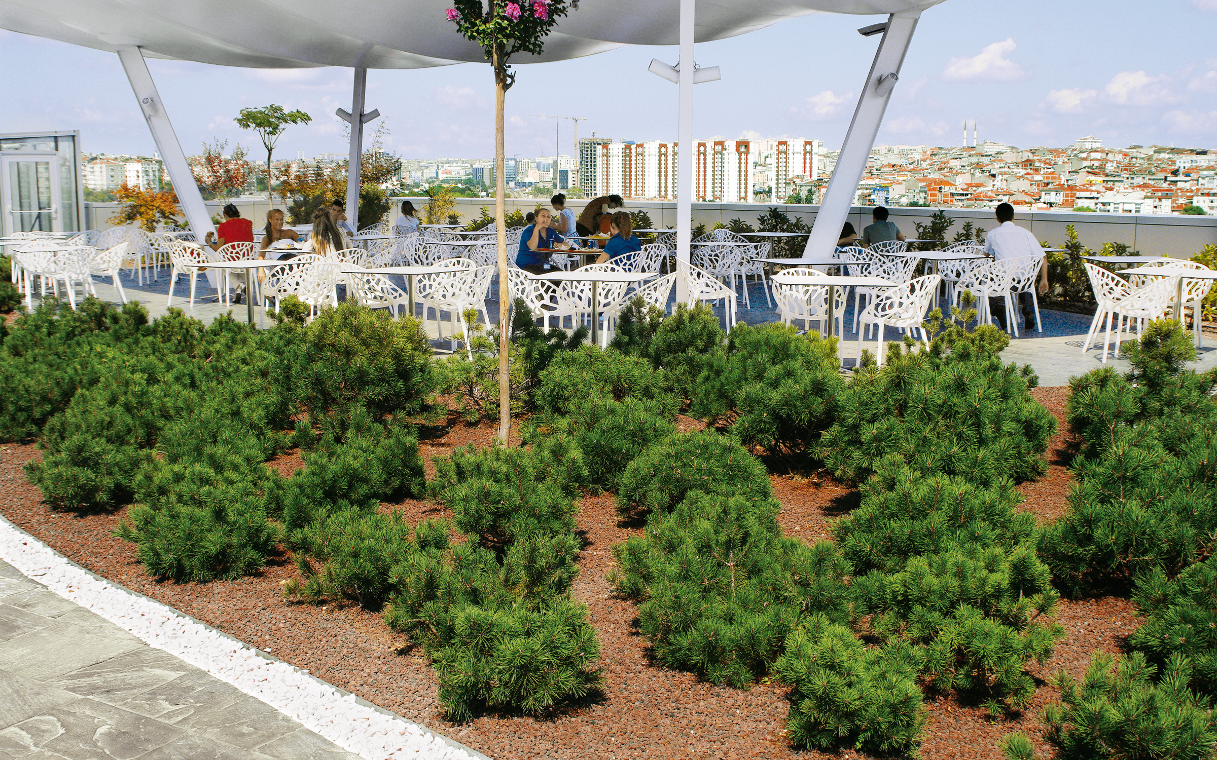 People sitting in a cafè on a roof garden overlooking the city